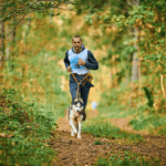 A man and a dog do cross country running together.