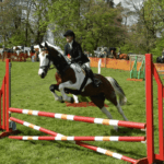 A person on a horse vaulting over an obstacle.