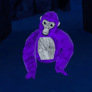 A purple Gorilla Tag coach.