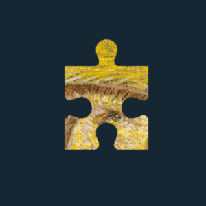 A puzzle piece from a puzzle of "Self-Portrait with a Straw Hat" by Vincent van Gogh.