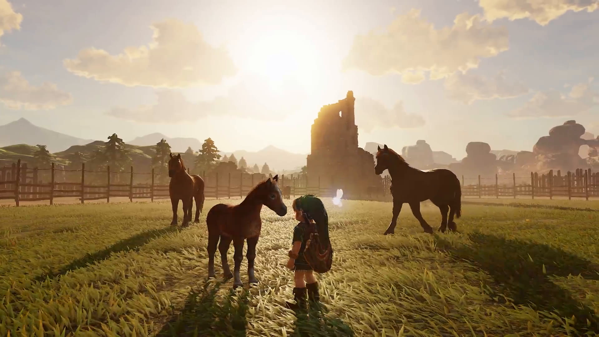 Young Link standing in a fenced ranch pasture with horses at sunset